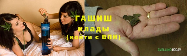 МДПВ Краснослободск