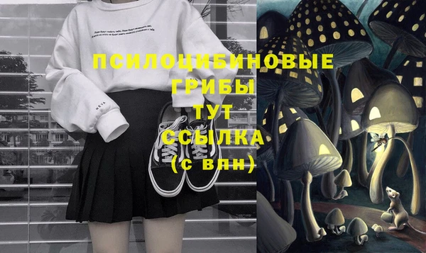 дурь Моршанск